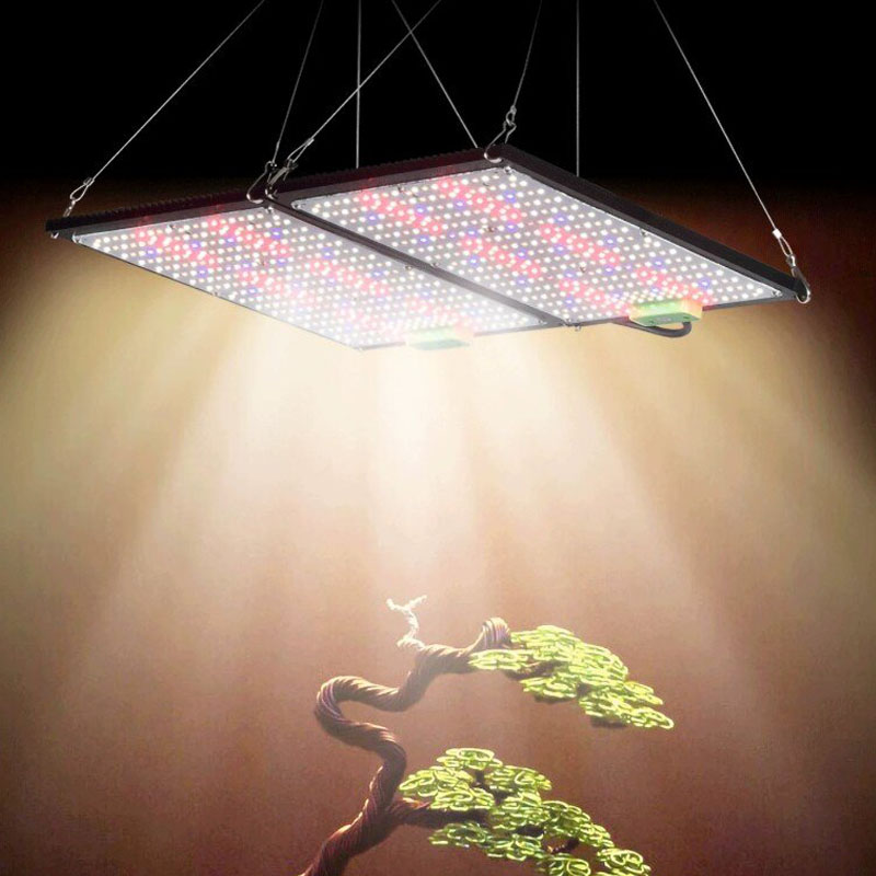LED Quantum‑Board Grow Light F - Plant Grow Light Full Spectrum review and price