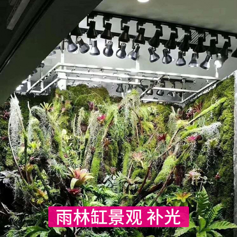 Full Spectrum Track Grow Lamp  - Plant Grow Light Full Spectrum review and price