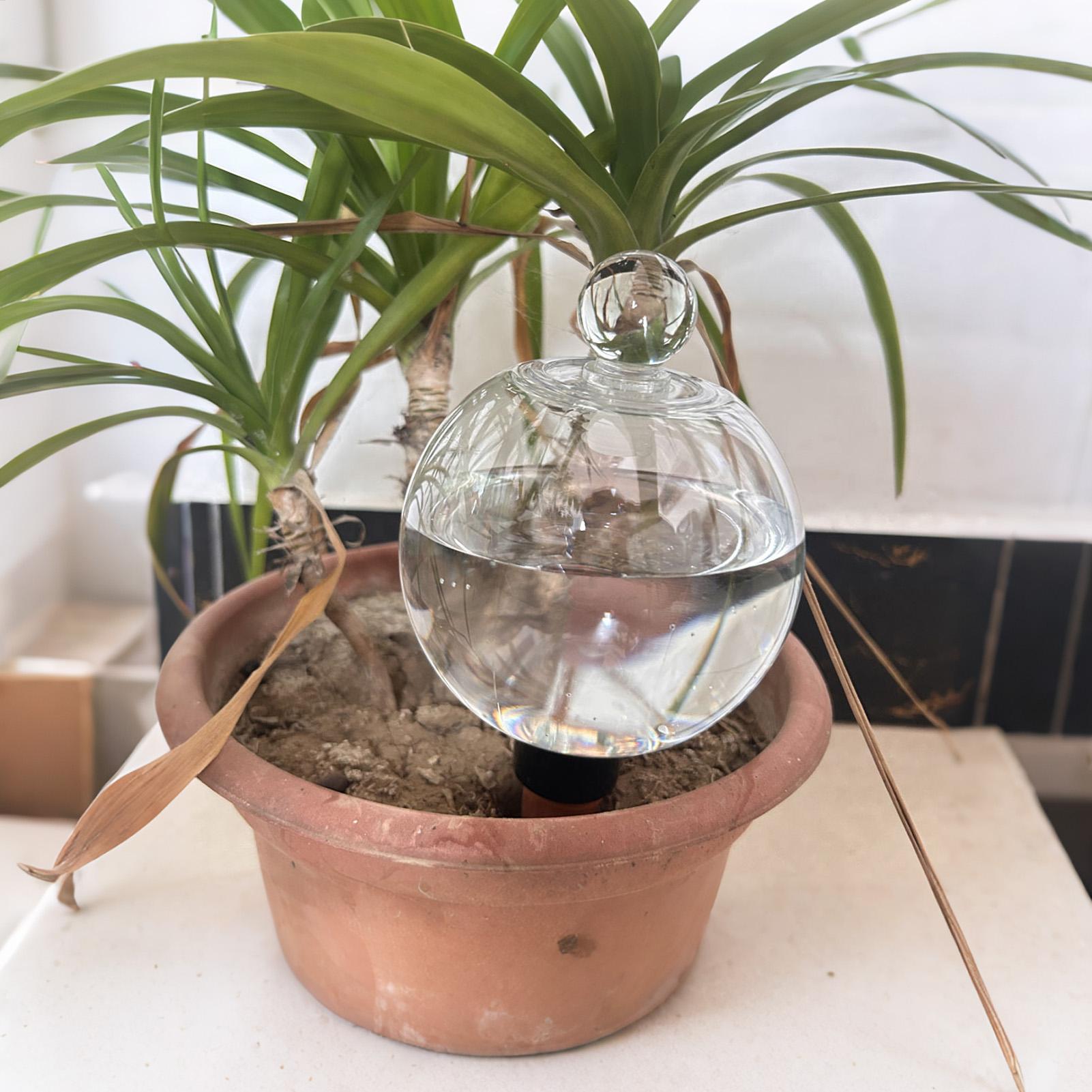 Plant Watering Bulbs 4pcs 500m - Plant Sensor review and price