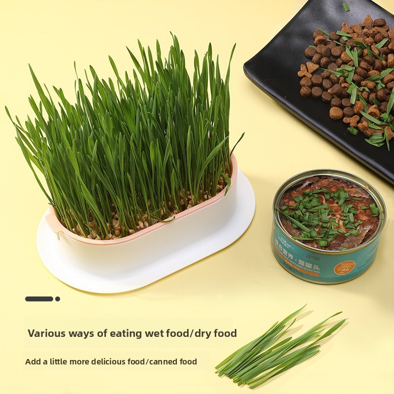 Pet Supplies Cat Snacks Cat Pl - Hydroponic Grow Pod review and price