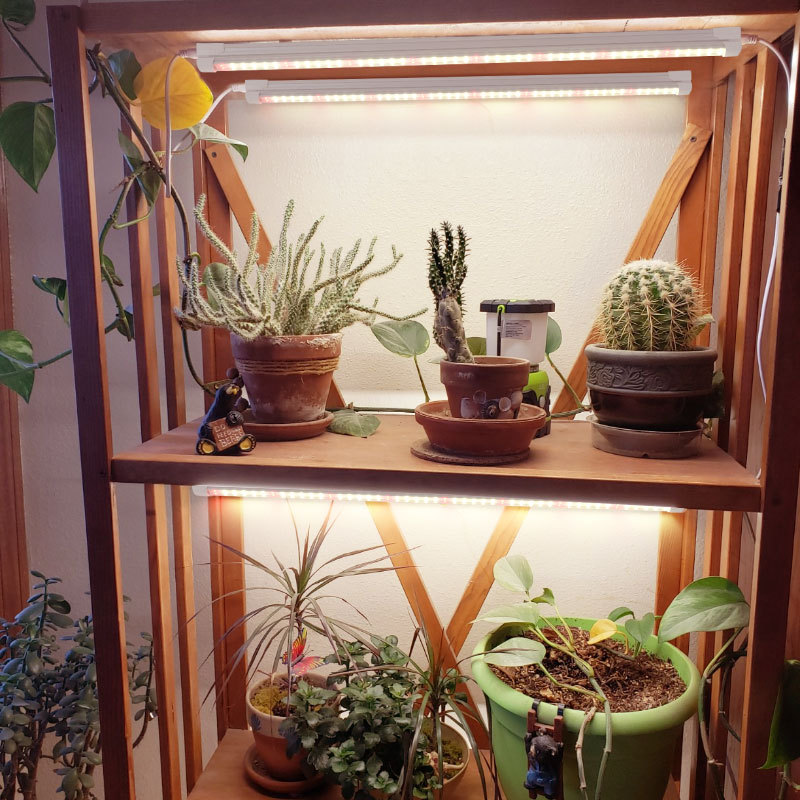 Indoor Green Plant Supplement  - Plant Grow Light Full Spectrum review and price