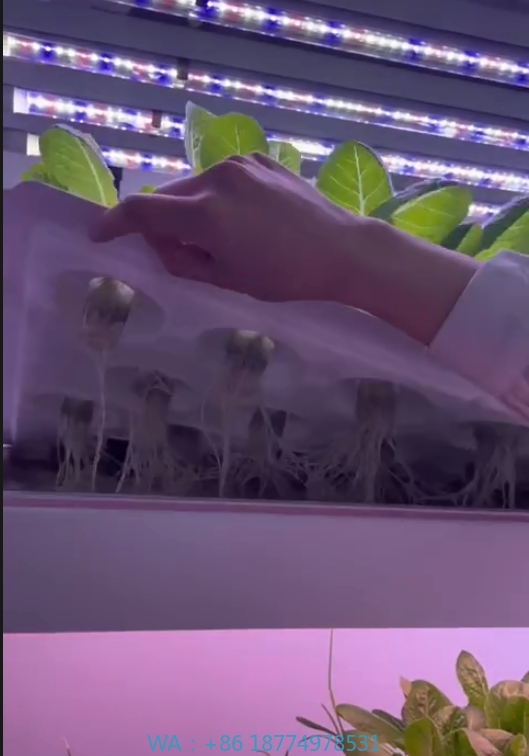 f Greenhouse Agricultural Equi - Hydroponic Tower review and price