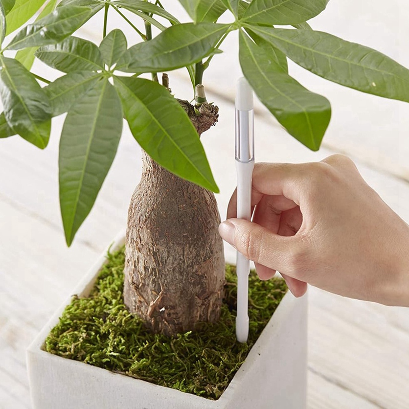Aquameter, 5pcs, Plant Soil Mo - Plant Sensor review and price