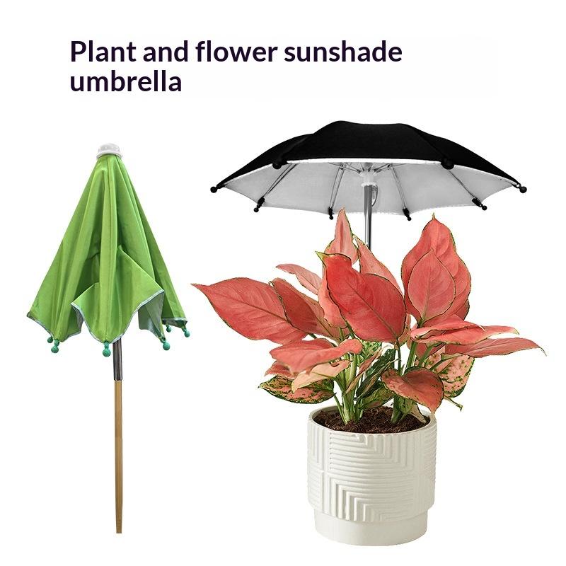 Adjustable Height Plant Umbrel - Plant Monitor review and price