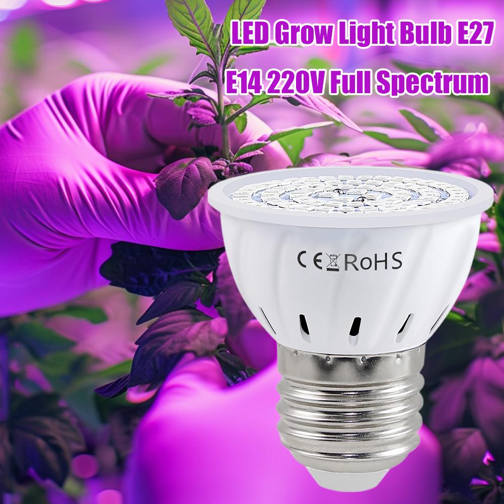 LED Grow Bulb E27 60 80LEDs Fu - Plant Grow Light Full Spectrum review and price