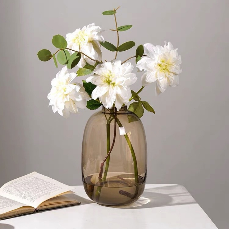 Transparent Glass Vase, Office - Hydroponic Grow Pod review and price