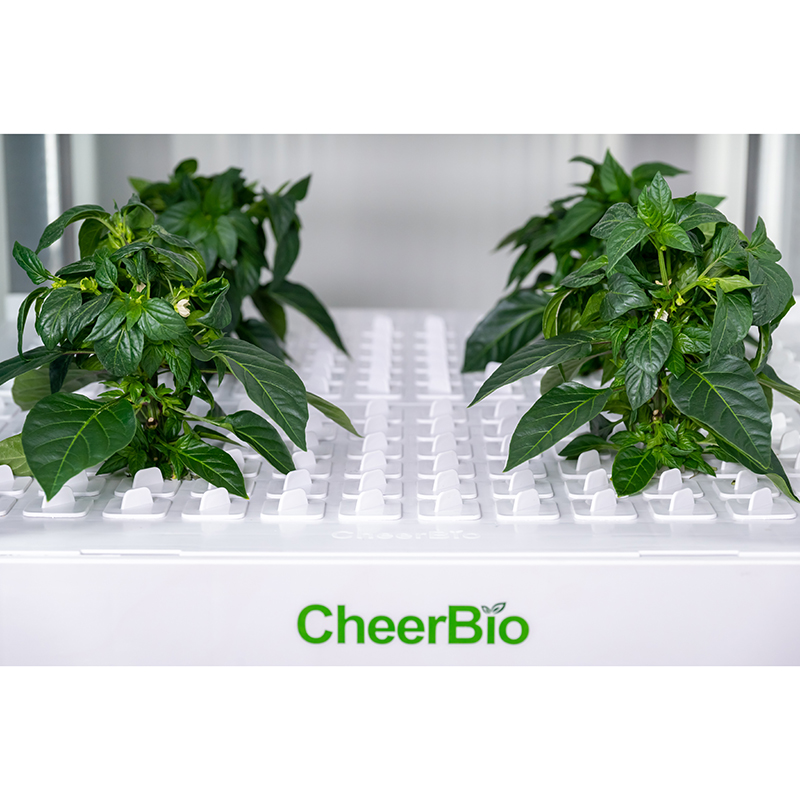 New   Intelligent Planting Sys - Indoor Garden Kit review and price