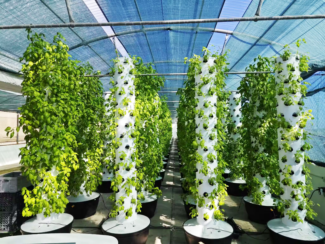 High Quality Easy Install Smal - Hydroponic Tower review and price