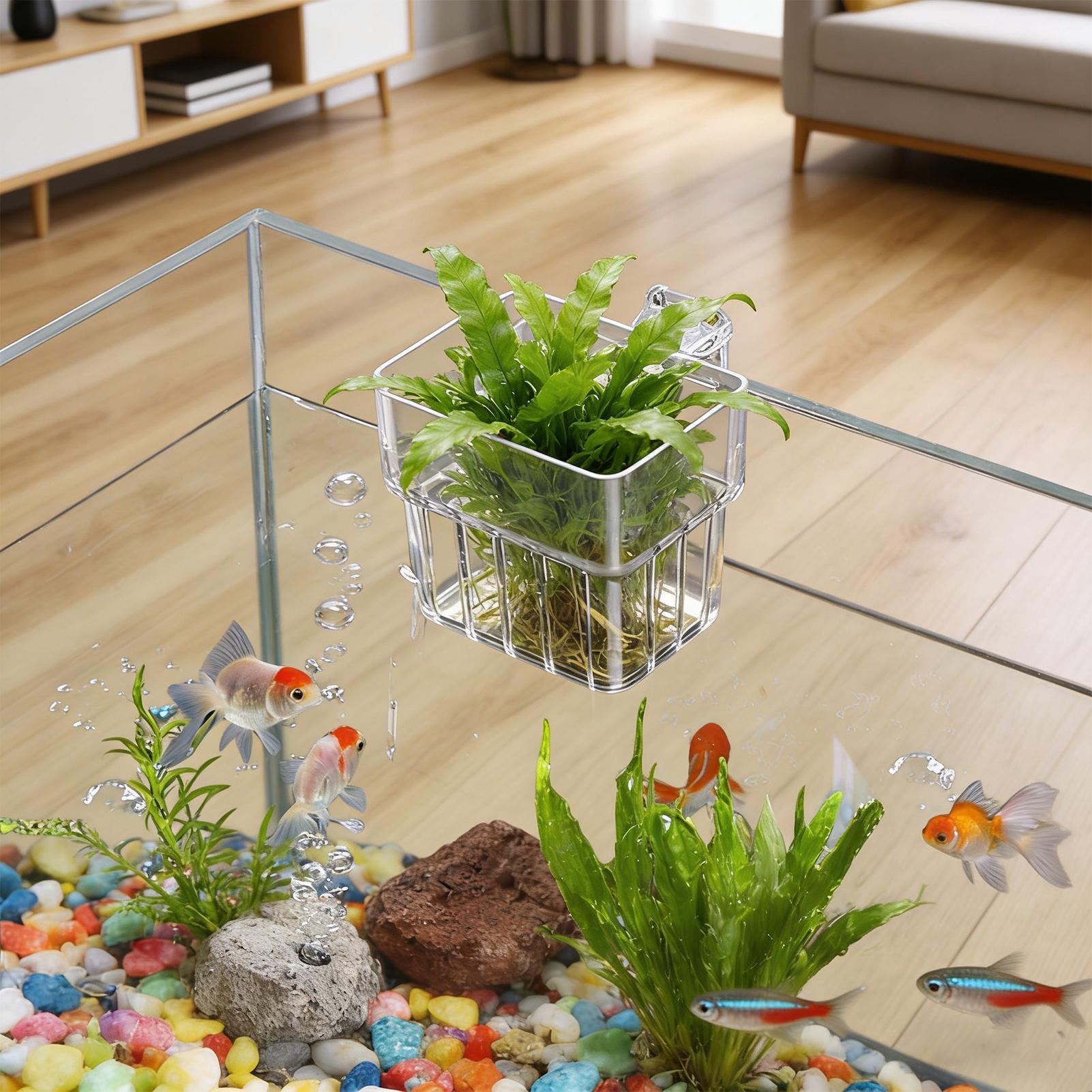 Transparent Hangable Aquarium  - Hydroponic Grow Pod review and price
