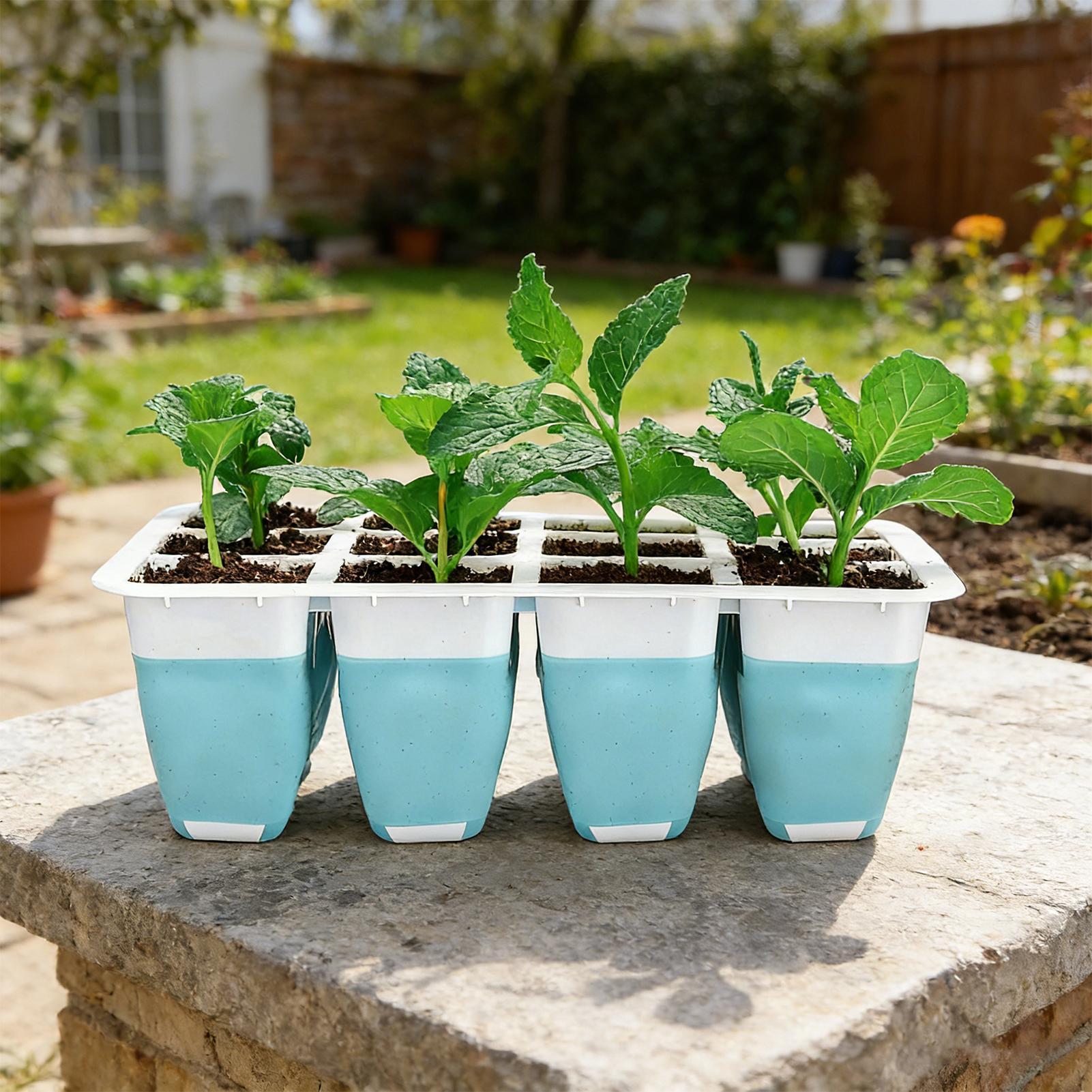 5 Pack Silicone Seed Starter T - Indoor Garden Kit review and price