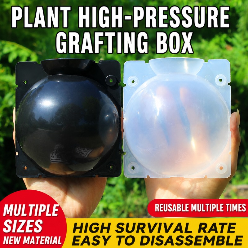 10pcs Plant Propagation Kit: H - Indoor Garden Kit review and price