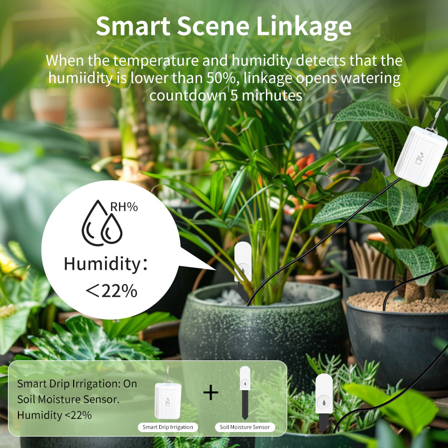 Smart Zigbee 3.0 Soil Tester H - Plant Monitor review and price