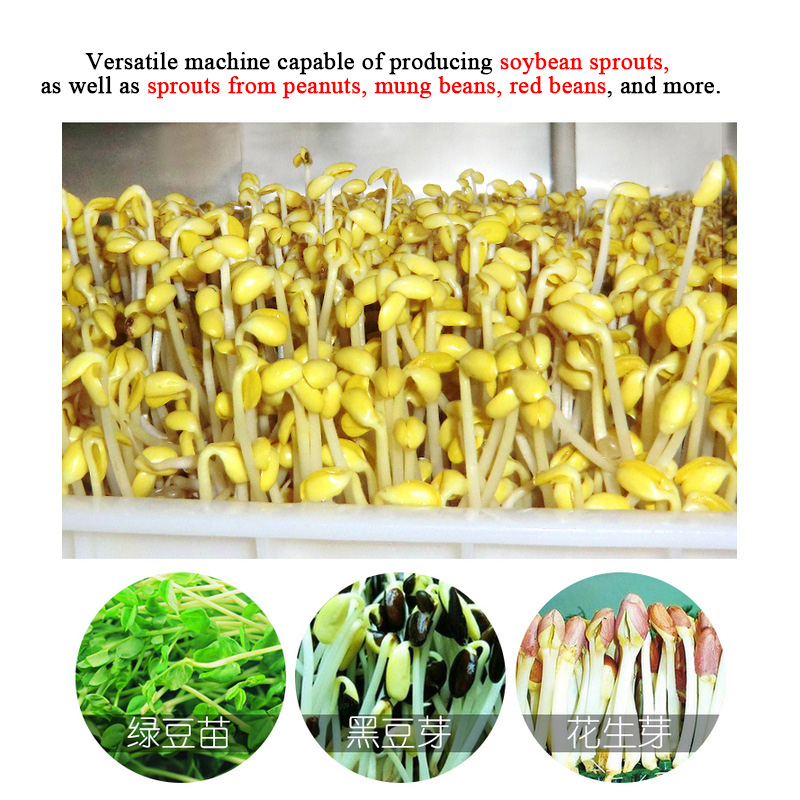 Intelligent High Multi-Sprout  - Automatic Watering review and price