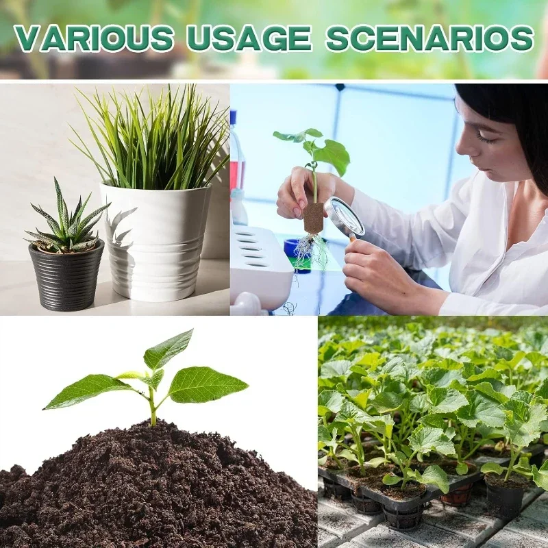 Seedling Starter Sponge Kit fo - Indoor Garden Kit review and price