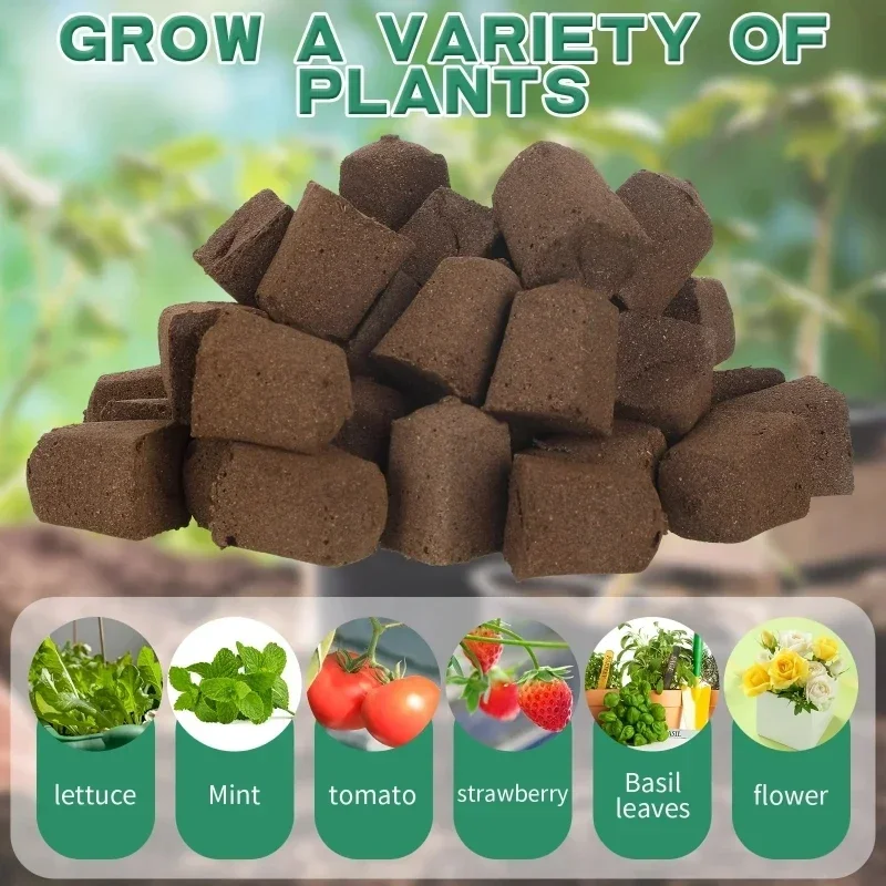 Seedling Starter Sponge Kit fo - Indoor Garden Kit review and price