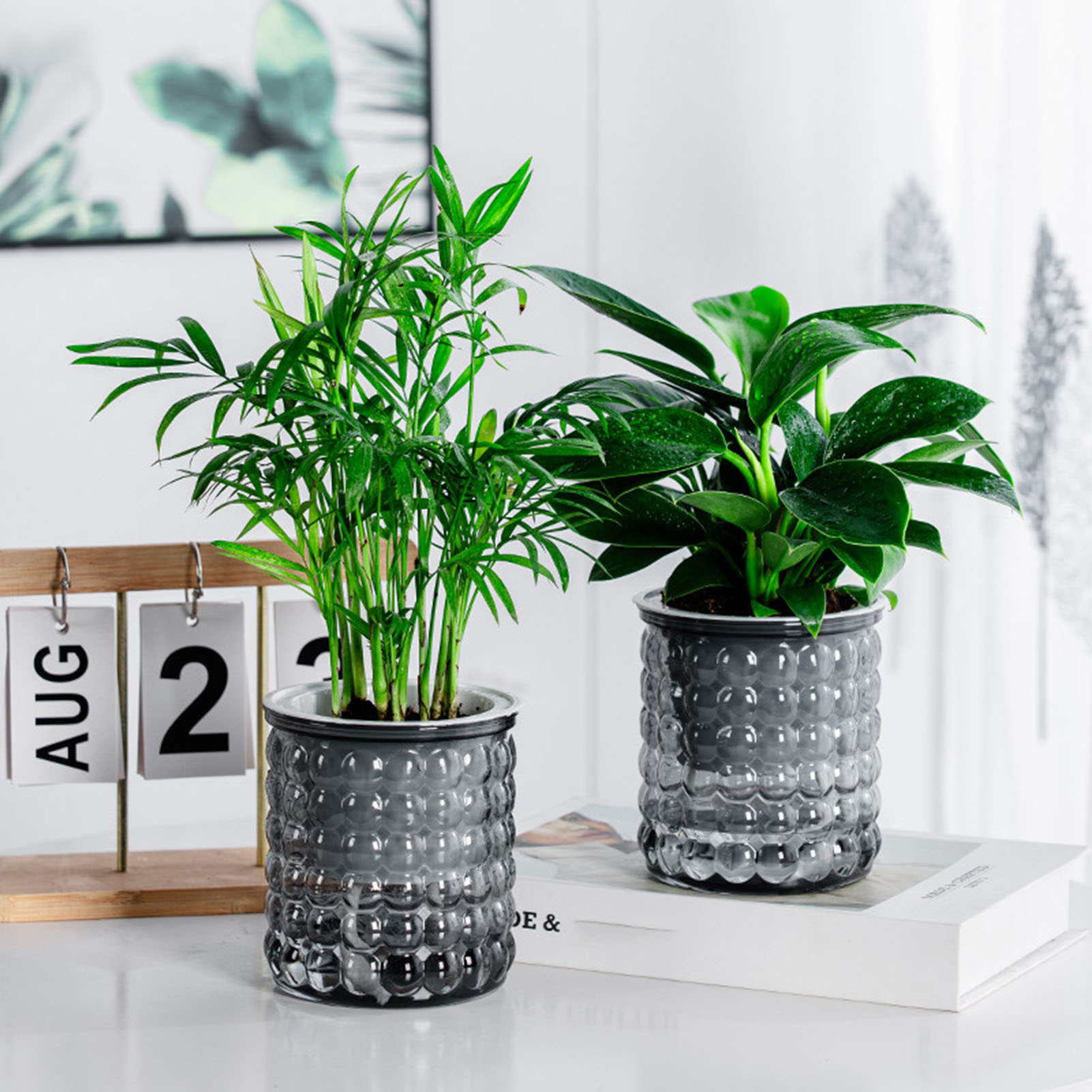 New Self Watering Hydroponic P - Hydroponic Grow Pod review and price