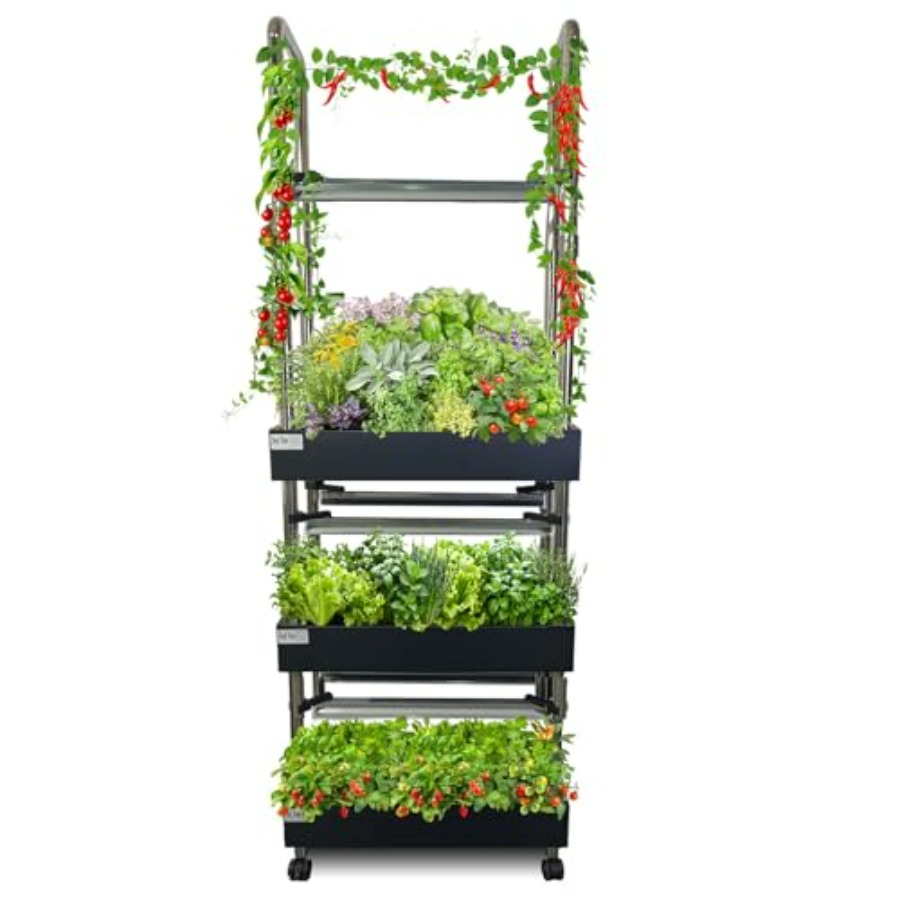 Indoor hydroponics growing sys - Smart Garden System review and price