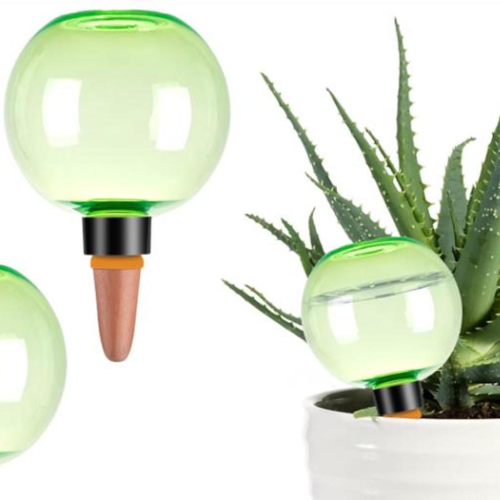 3pcs Large Plant Self Watering - Self Watering Planter review and price