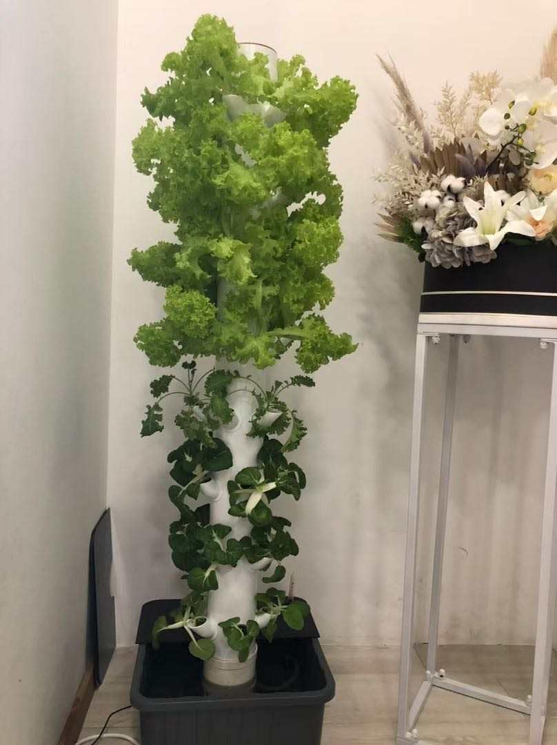 Vertical Hydroponic Grow Tower - Hydroponic Tower review and price