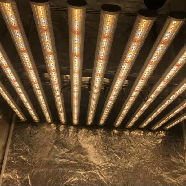 LUX China Factory Led Plant Li - Plant Grow Light Full Spectrum review and price