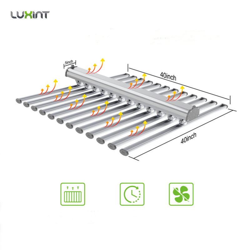 LUX China Factory Led Plant Li - Plant Grow Light Full Spectrum review and price