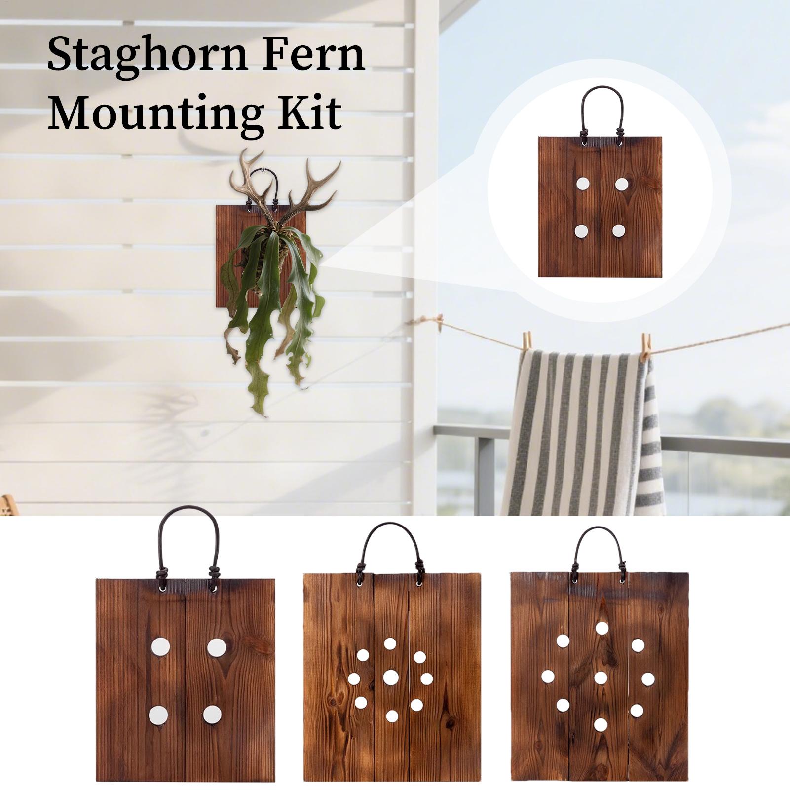 Staghorn Fern Wall Mount Board - Indoor Garden Kit review and price