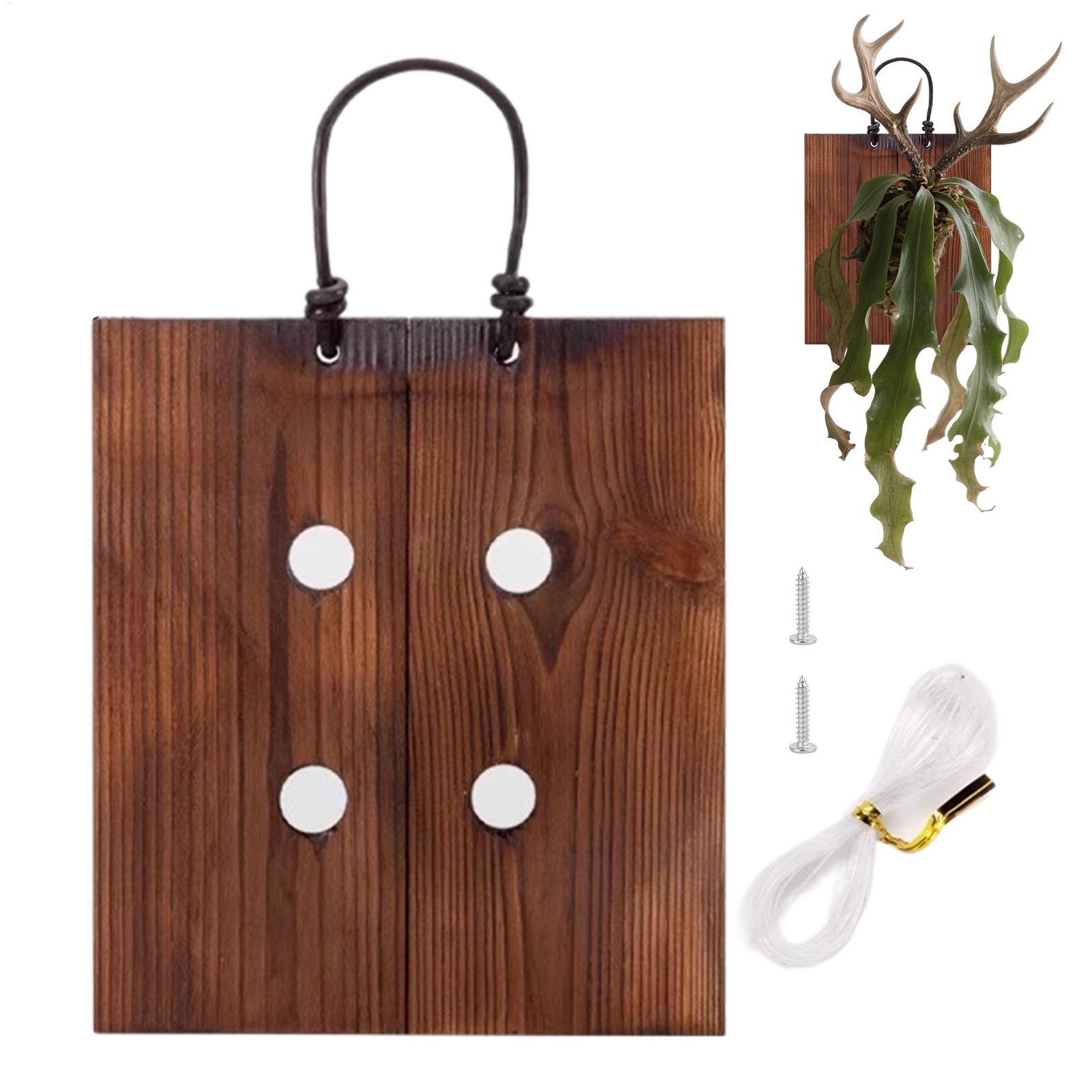 Staghorn Fern Wall Mount Board - Indoor Garden Kit review and price