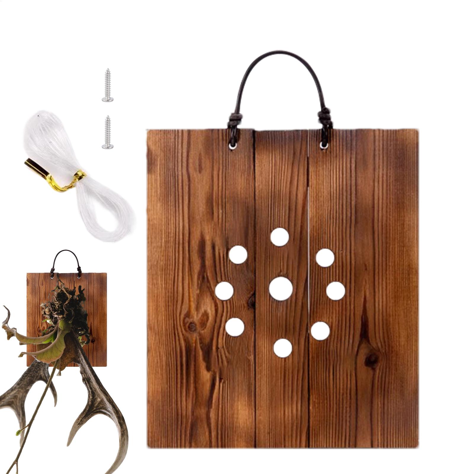 Staghorn Fern Wall Mount Board - Indoor Garden Kit review and price