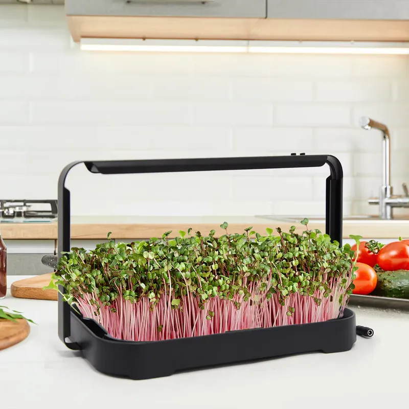 Hydroponic Tray Indoor Microgr - Smart Garden Kit review and price