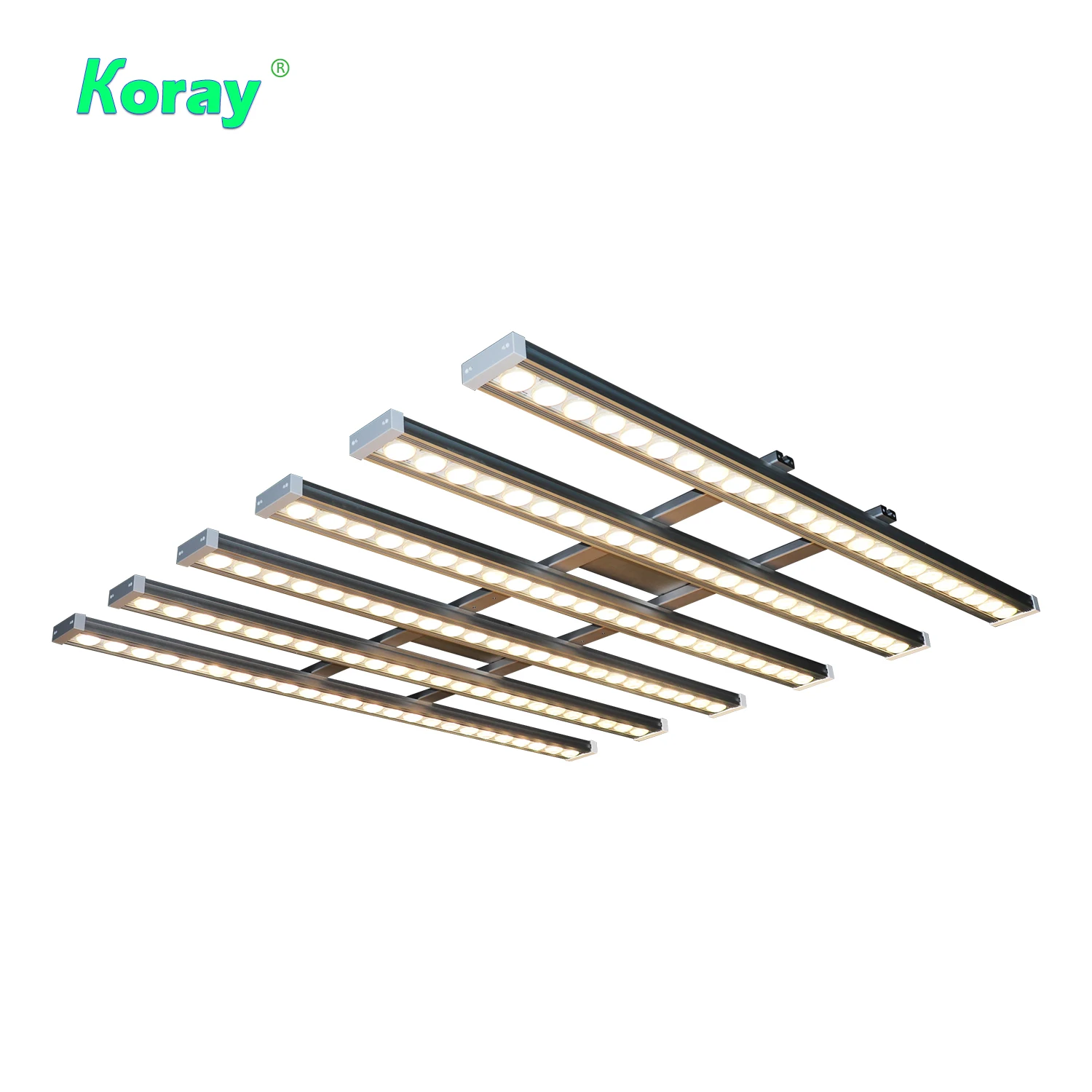 Koray 900W Indoor full spectru - Plant Grow Light Full Spectrum review and price