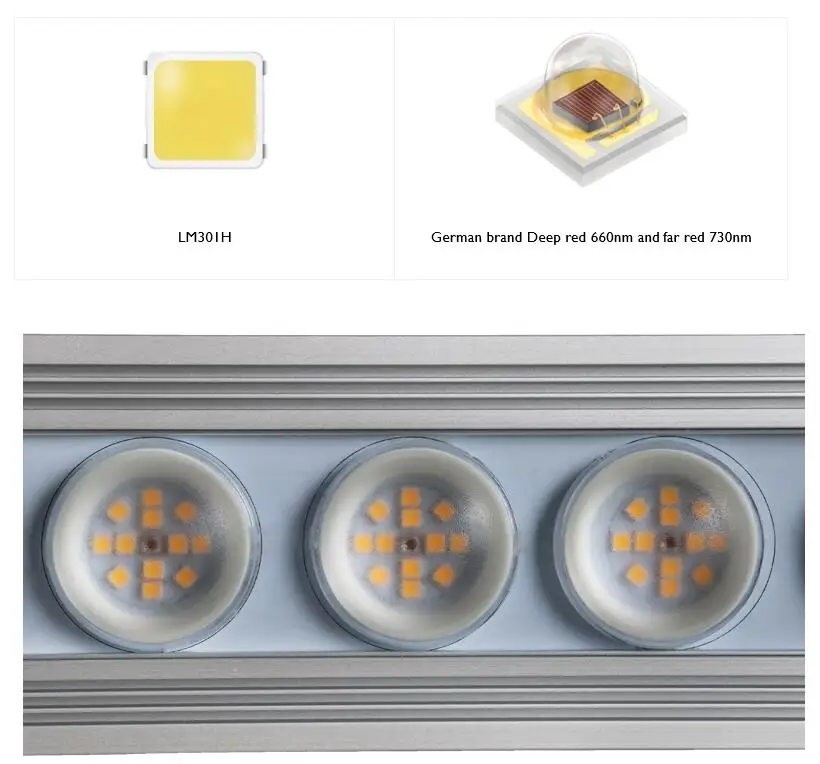 Koray 900W Indoor full spectru - Plant Grow Light Full Spectrum review and price
