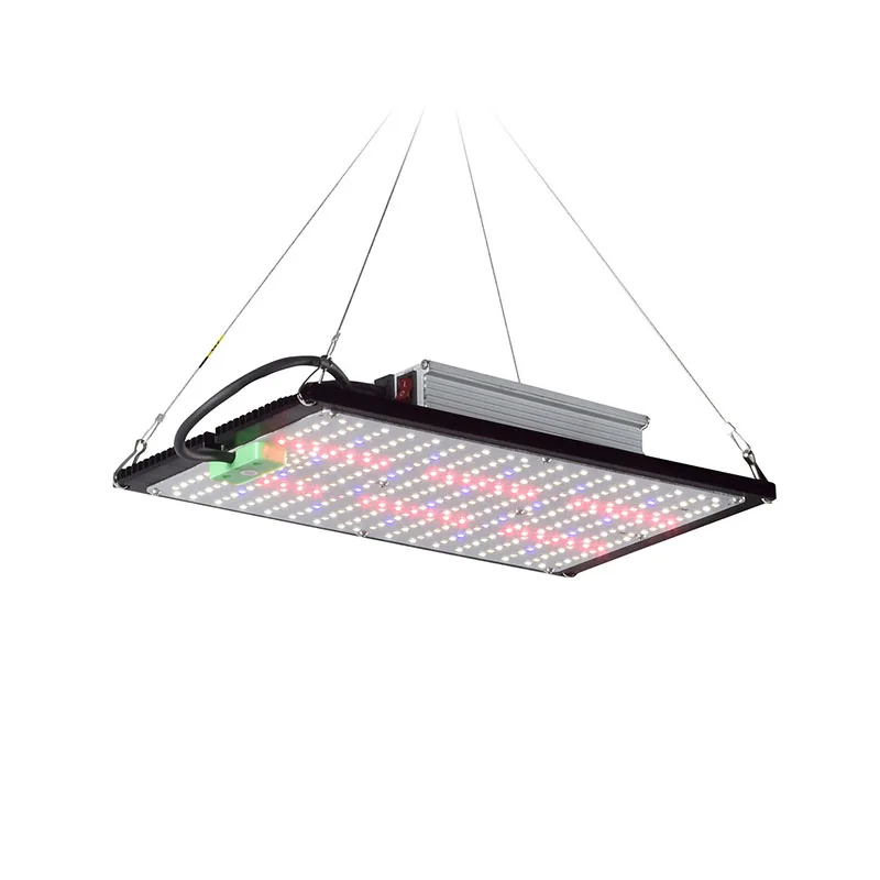 LED Quantum‑Board Grow Light F - Plant Grow Light Full Spectrum review and price